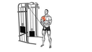 Read more about the article Cable Single-Arm Crossover