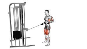 Read more about the article Cable Squat Row