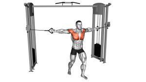 Read more about the article Cable Standing Alternate Chest Fly