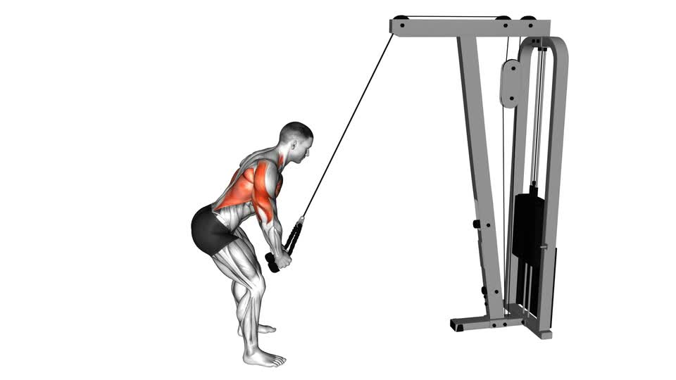 Cable Standing Lat Pushdown - ManiacMuscle