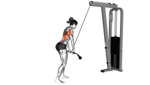 Read more about the article Cable Straight-Arm Pulldown