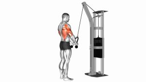Read more about the article Cable Straight-Arm Pulldown