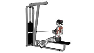 Read more about the article Cable Straight-Back Seated Row