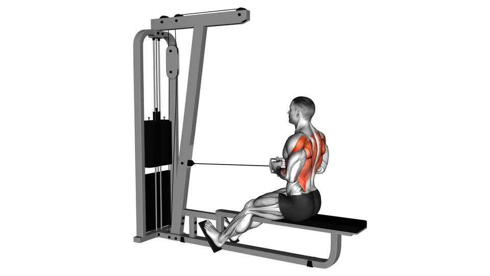 Cable Straight-Back Seated Row - ManiacMuscle