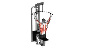Read more about the article Cable Suspension Back Stretch