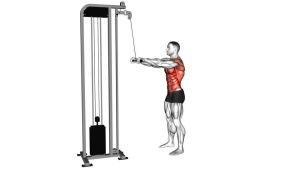 Read more about the article Cable Thibaudeau Kayak Row