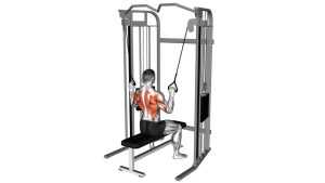 Read more about the article Cable Twin-Handle Parallel-Grip Lat Pulldown