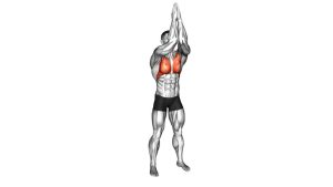 Read more about the article Standing Chest Fly and Press-Up