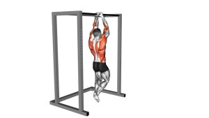 Read more about the article Commando Pull-Up