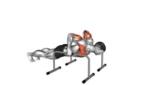 Read more about the article Deep Push-Up on Parallel Bars