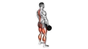Read more about the article Dumbbell Deadlift
