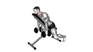 Read more about the article Dumbbell Decline Shrug