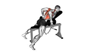 Read more about the article Dumbbell Hammer Grip Incline Bench Two-Arm Row