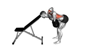 Read more about the article Dumbbell Head-Supported Row