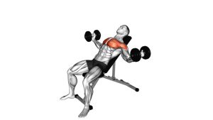 Read more about the article Dumbbell Incline Alternate Fly
