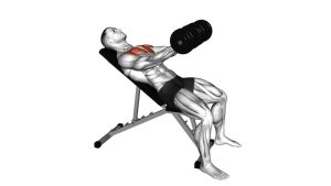 Read more about the article Dumbbell Incline Low Fly