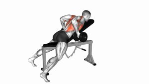 Read more about the article Dumbbell Lying Rear Delt Row