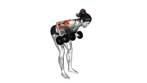 Read more about the article Dumbbell Palm Rotational Bent-Over Row