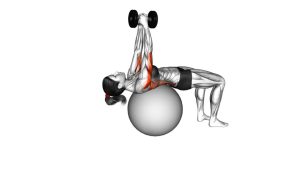 Read more about the article Dumbbell Pullover on Exercise Ball