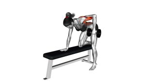 Read more about the article Dumbbell Rear Delt Row