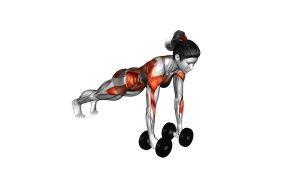 Read more about the article Dumbbell Renegade Row