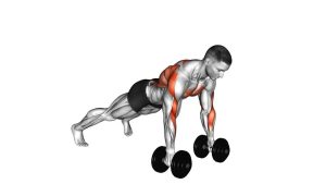 Read more about the article Dumbbell Renegade Row