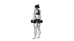 Read more about the article Dumbbell Shrug