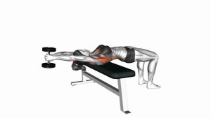 Read more about the article Dumbbell Straight-Arm Pullover