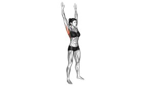 Read more about the article Dynamic Back Stretch