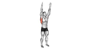 Read more about the article Dynamic Back Stretch