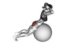 Read more about the article Exercise Ball Back Extension (Hands Behind Head)