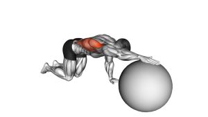 Read more about the article Exercise Ball Lat Stretch