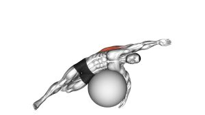 Read more about the article Exercise Ball Lying Side Lat Stretch