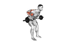 Read more about the article EZ-Bar Reverse-Grip Bent-Over Row