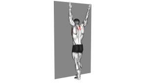Read more about the article Forearm Wall Slide