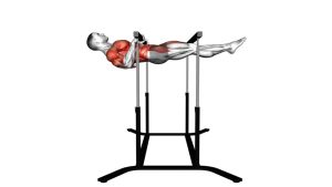 Read more about the article Front Lever Reps (Waist Height)