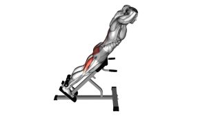 Read more about the article Hyperextension Waist (45-Degree Back Extension)