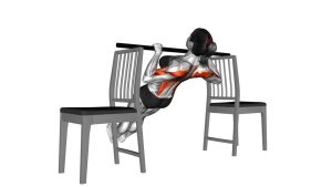 Read more about the article Inverted Row Between Chairs (Bent Knees)