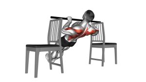 Read more about the article Inverted Row Between Chairs (Bent Knee)