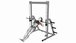 Read more about the article Inverted Row