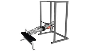 Read more about the article Inverted Row on Bench