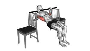 Read more about the article Inverted Row with Bent Knee Between Chairs