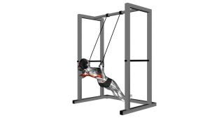 Read more about the article Inverted Row with Straps