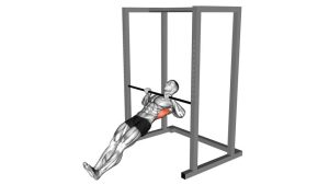 Read more about the article Inverted Row