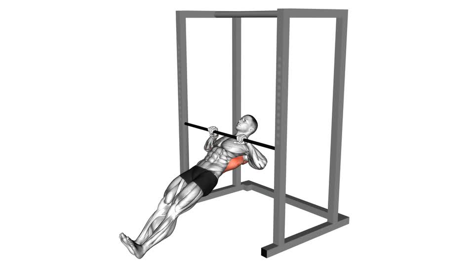 Correct Form Inverted Rows Inverted Row - ManiacMuscle
