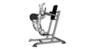 Read more about the article Inverted Shrug on Parallel Bars