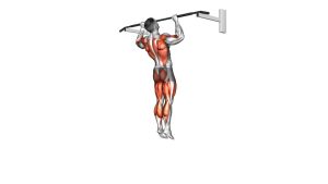 Read more about the article Jumping Pull-Up