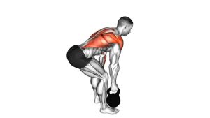Read more about the article Kettlebell Alternating Bent-Over Row