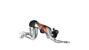 Read more about the article Kneeling Lat Stretch