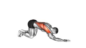 Read more about the article Kneeling Lat Stretch